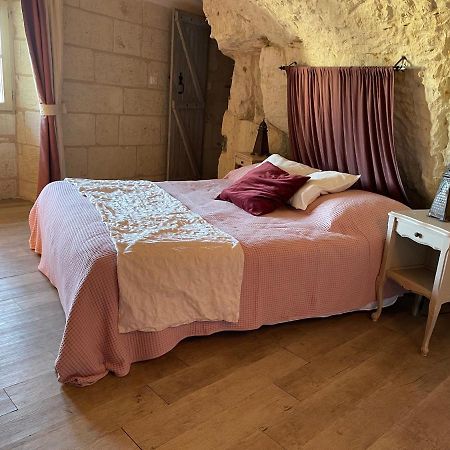 L'Escale Troglo Au Bord De La Loire Villa Souzay-Champigny Eksteriør bilde